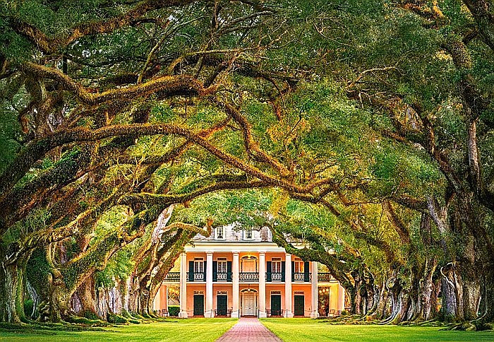 Puzzle 1000 piese Oak Alley Plantation 104383 [2]