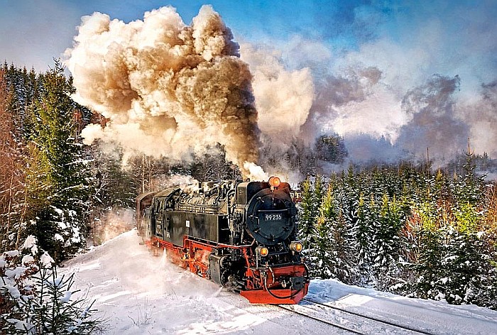 Puzzle 1000 piese Steam Train 103409 [2]