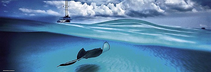 Puzzle 1000 piese Stingray Heye 29470 [2]
