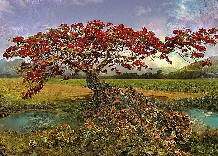 Puzzle 1000 piese Strontium Tree 29909 [2]