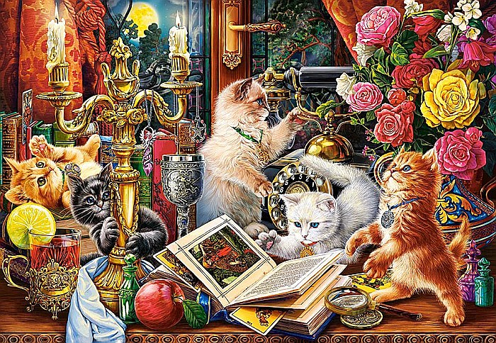 Puzzle 1000 piese Wizard Kittens 104857 Castorland [2]