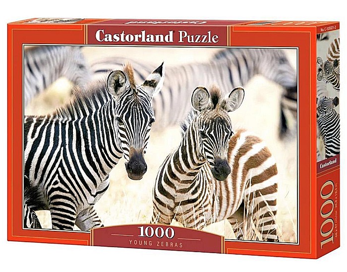 Puzzle 1000 piese Young Zebras 105021 Castorland [1]