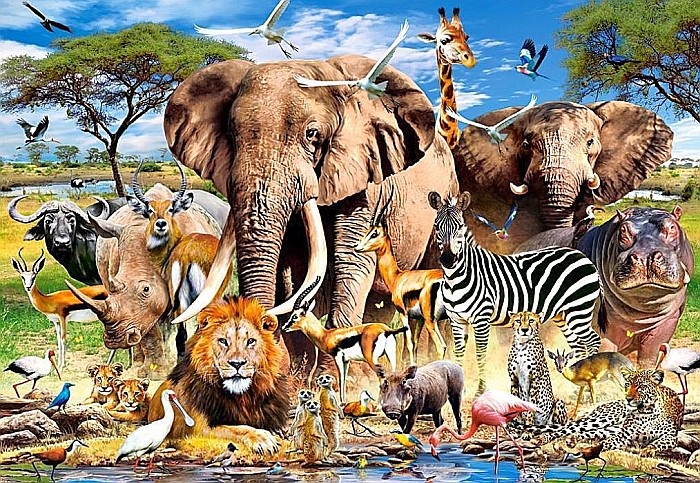 Puzzle 1500 piese Savanna Animals Castorland 151950 [2]