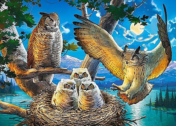 Puzzle 180 piese Familie de Bufnite 18437 [2]