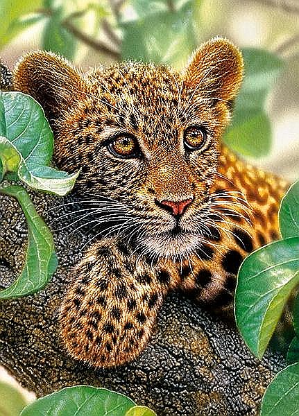 Puzzle 180 piese Tree Hugger 18291 [2]