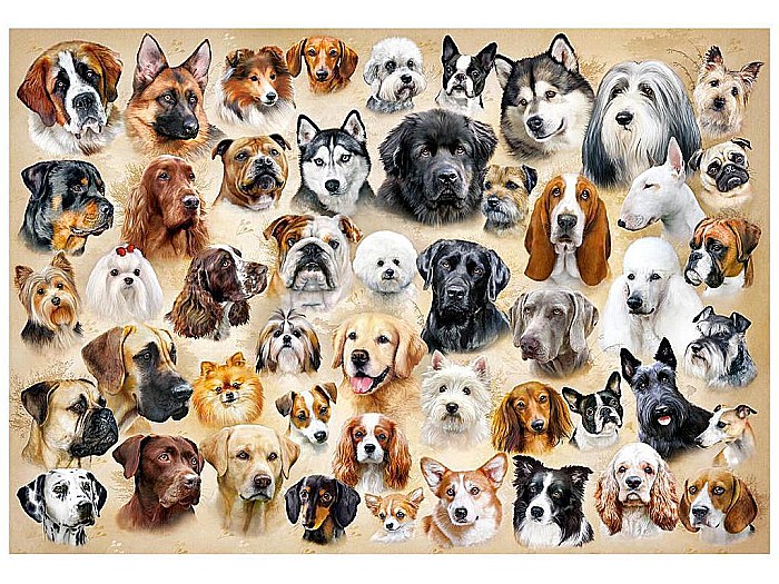 Puzzle 200 piese Collage with Dogs - Castorland 222162 [2]