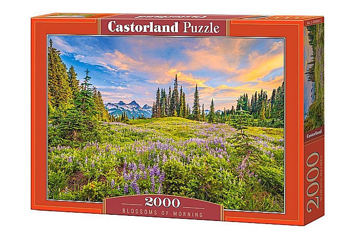 Puzzle 2000 piese Blossoms of Morning 200863 Castorland [1]