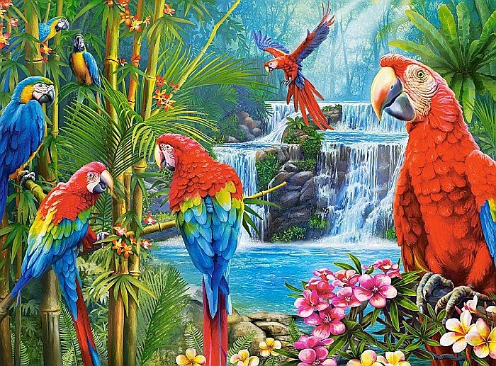 Puzzle 2000 piese Parrot Meeting 200870 Castorland [2]