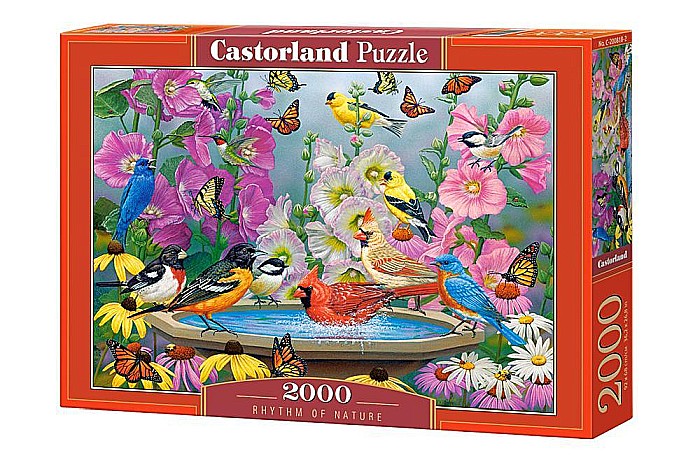 Puzzle 2000 piese Rhythm of Nature 200818 Castorland [1]
