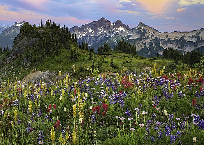 Puzzle 2000 piese Tatoosh Mountain 29903 [2]