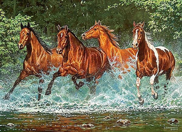 Puzzle 300 piese Cai in Natura 30361 [2]