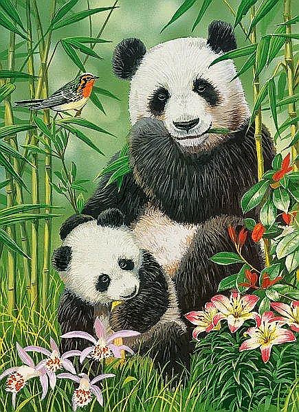 Puzzle 300 piese Panda Brunch 30507 Castorland [2]