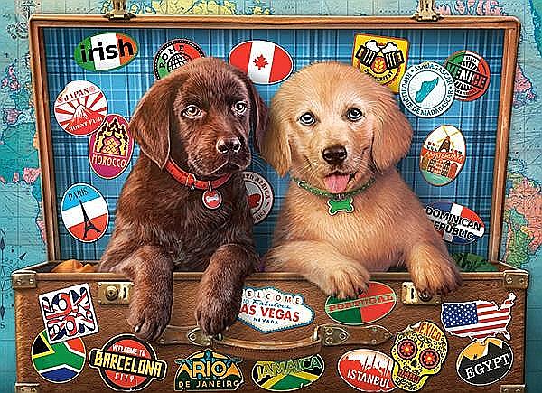 Puzzle 300 piese Stowaway Pups 030422 [2]