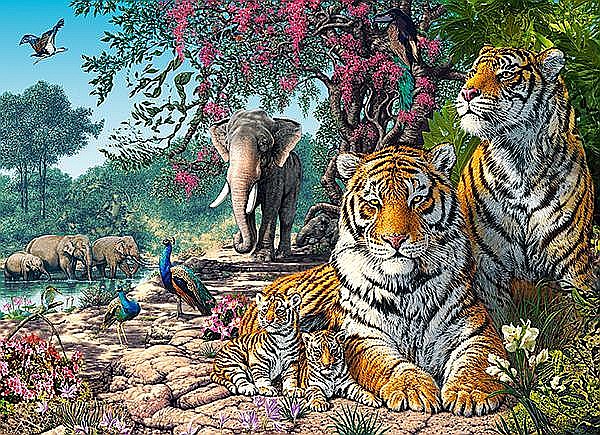 Puzzle 300 piese Tiger Sanctuary Castorland 30484 [2]