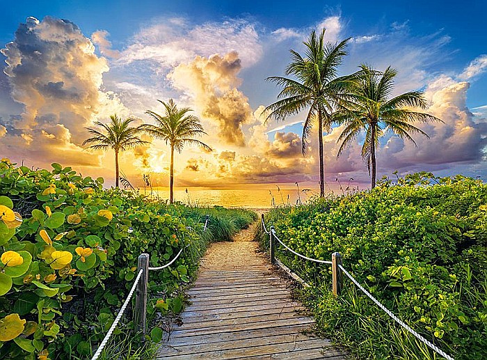 Puzzle 3000 piese Colorful Surise in Miami, USA 300617 Castorland [2]