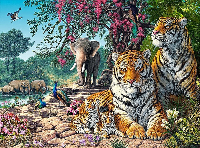 Puzzle 3000 piese Tiger Sanctuary 300600 Castorland [2]