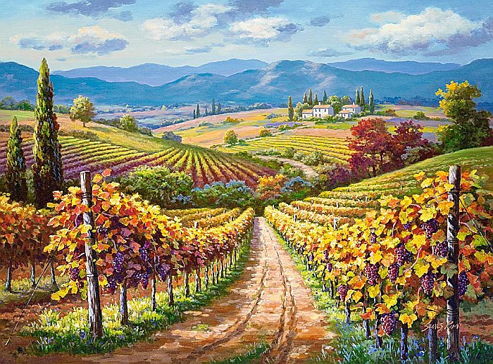Puzzle 3000 piese Vineyard Hill - Castorland - 300587 [2]