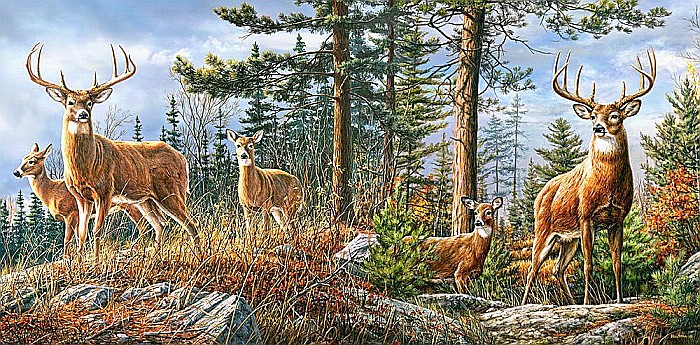 Puzzle 4000 piese Royal Deer Family Castorland 400317 [2]