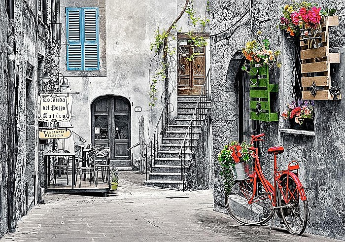 Puzzle 500 piese Aleea cu Bicicleta Rosie 53339 [2]