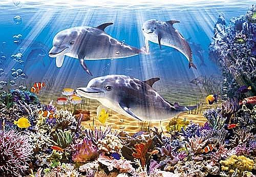 Puzzle 500 piese Delfini 52547 [2]