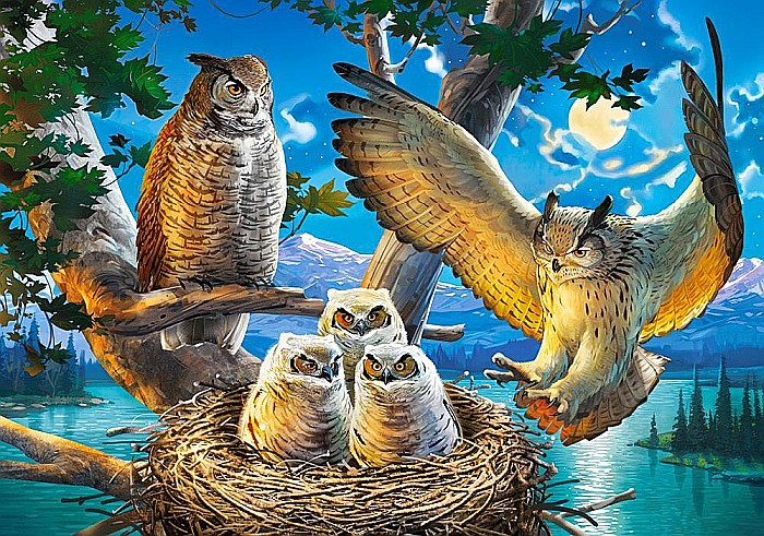 Puzzle 500 piese Familie de Bufnite 53322 [2]