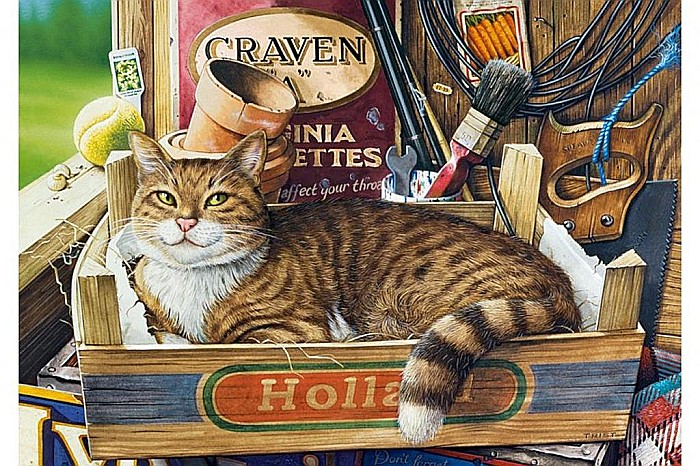 Puzzle 500 piese Fothergill 53476 [2]