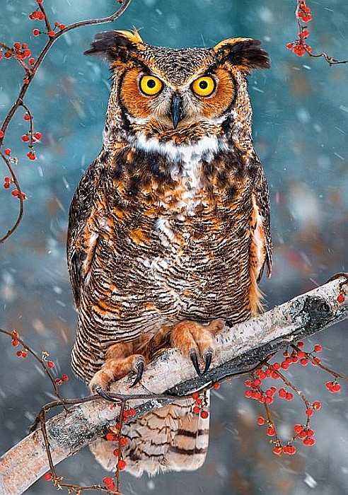 Puzzle 500 piese Great Horned Owl 52387 [2]