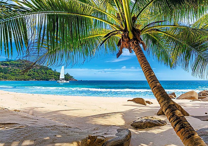 Puzzle 500 piese Holiday in Seychelles 53827 Castorland [2]