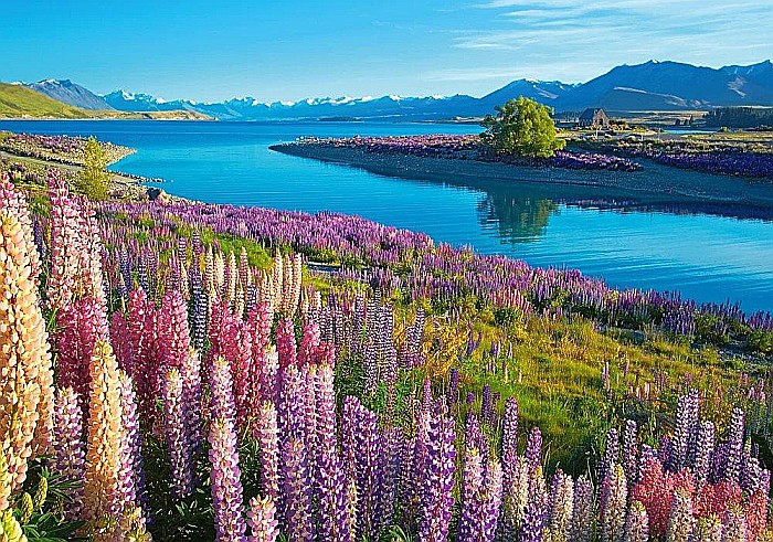 Puzzle 500 piese Lake Tekapo 53896 Castorland [2]