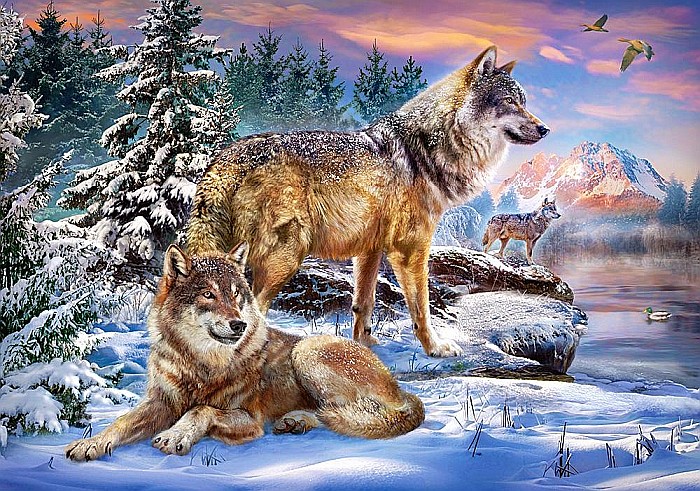 Puzzle 500 piese Lupi 53049 [2]