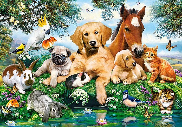 Puzzle 500 piese Prieteni de Vara 53230 [2]
