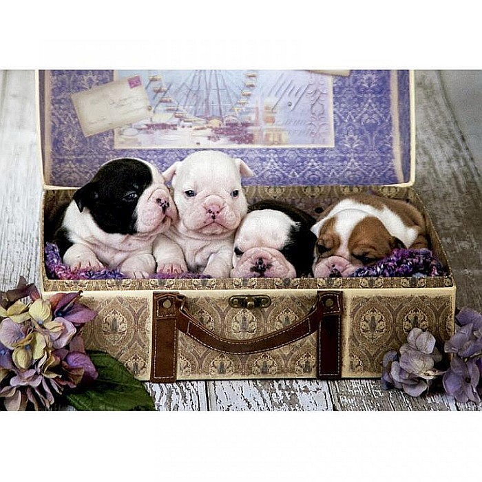 Puzzle 500 piese Puppies Educa 19007 [2]
