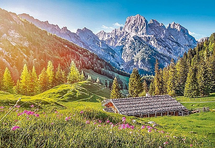 Puzzle 500 piese Summer in the Alps 53360 [2]