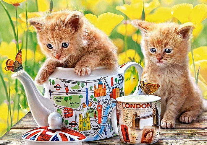 Puzzle 500 piese Tea Time 52356 [2]