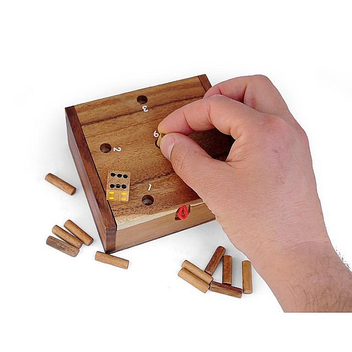 Puzzle/Joc din Lemn Hole in One [3]