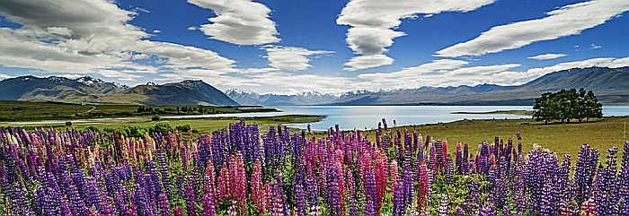 Puzzle panoramic 1000 piese Lake Tekapo Heye 29902 [2]