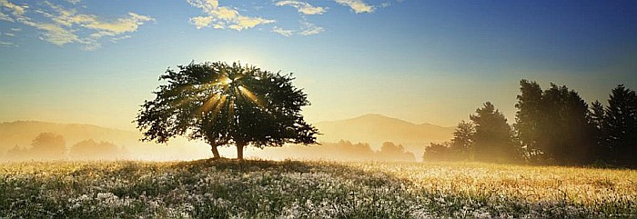 Puzzle panoramic 1000 piese Play of Light Heye 29901 [2]