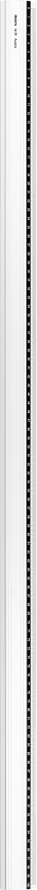 Rigla 100cm aluminiu [2]
