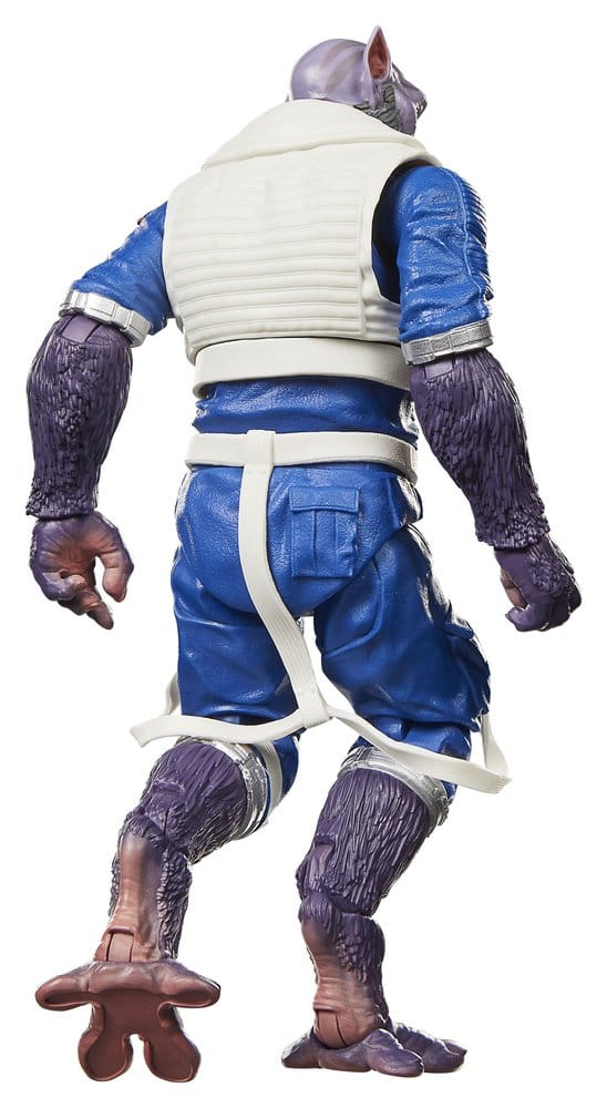 Star Wars: The Mandalorian & Grogu Black Series Action Figure Garazeb "Zeb" Orrelios 15 cm [15]