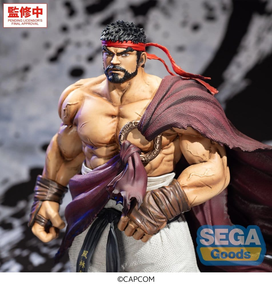 Street Fighter FIGURIZMa PVC Figure Ryu 26 cm [3]