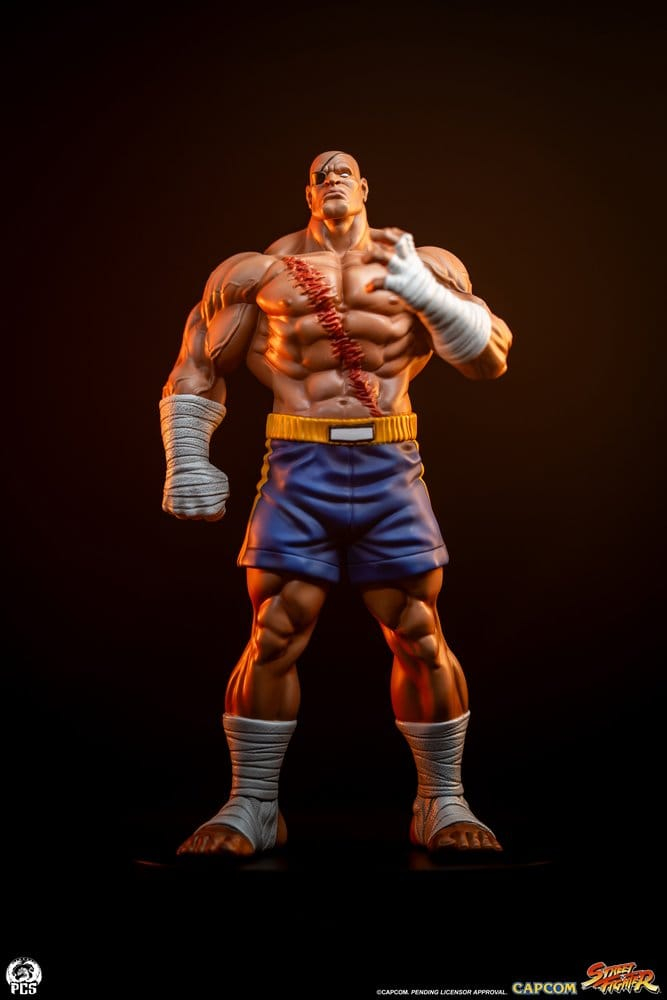 Street Fighter Street Jam Statuen 1/10 Sagat & Juli 24 cm [3]