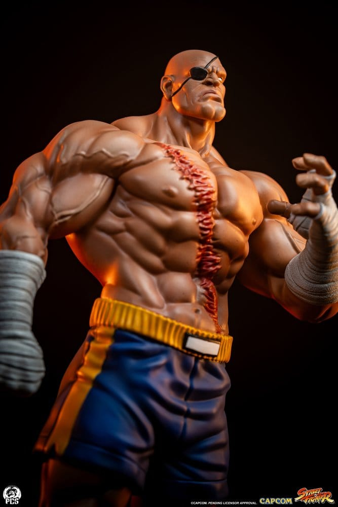 Street Fighter Street Jam Statuen 1/10 Sagat & Juli 24 cm [17]