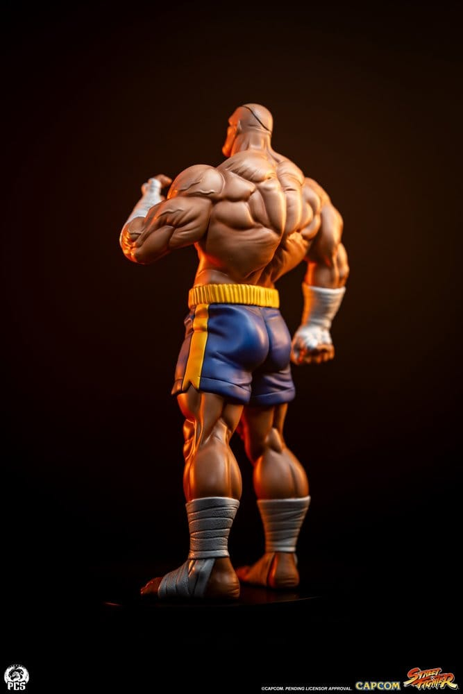 Street Fighter Street Jam Statuen 1/10 Sagat & Juli 24 cm [20]