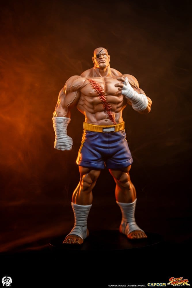 Street Fighter Street Jam Statuen 1/10 Sagat & Juli 24 cm [24]