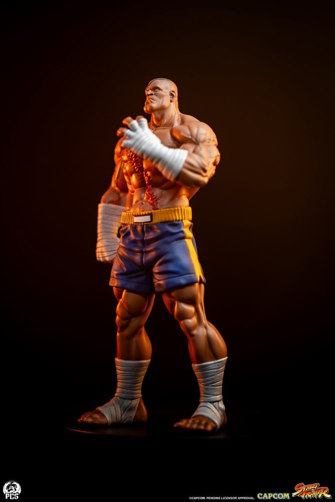 Street Fighter Street Jam Statuen 1/10 Sagat & Juli 24 cm [16]