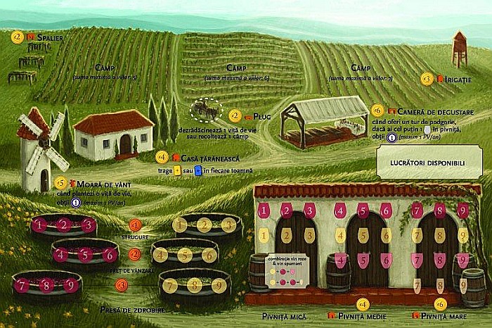 Viticultura aka Viticulture Essential Edition (Romanian Edition) [3]
