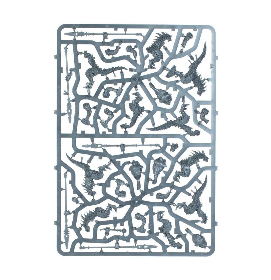 Warhammer Age of Sigmar: Spearhead Seraphon [3]