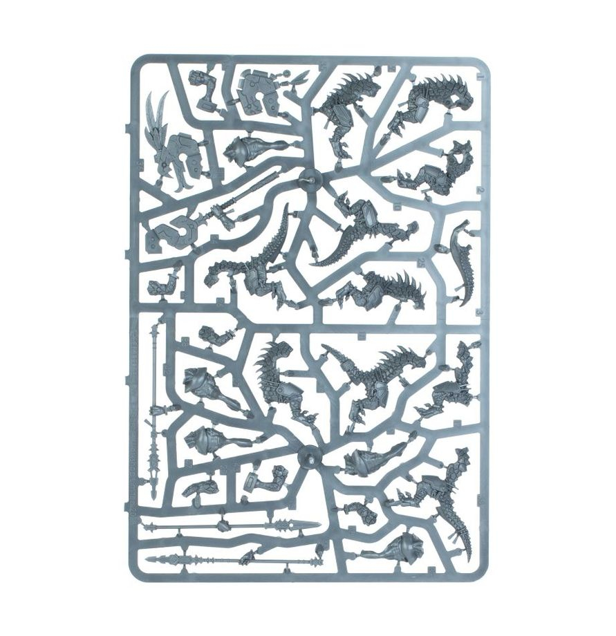 Warhammer Age of Sigmar: Spearhead Seraphon [2]