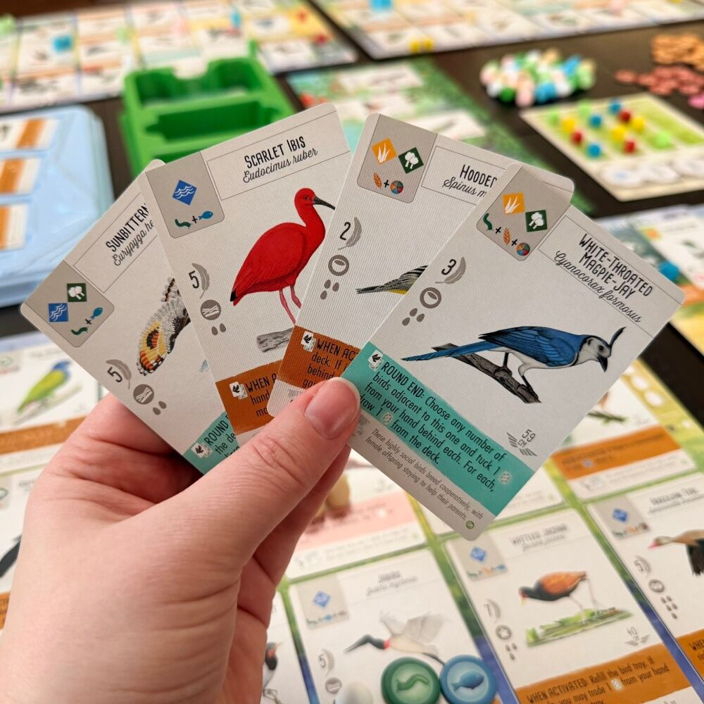 Wingspan Americas Expansion [3]