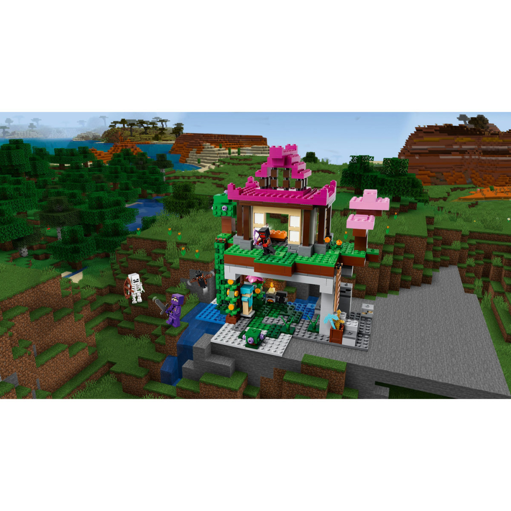 Zona de antrenament [10]